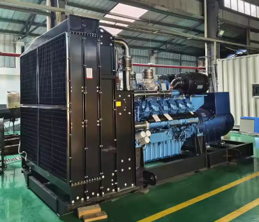 kupować 1800kVA 1440KW Zadowalający Dynamo LPG Generator Gas Generator Naturalny zestaw gazu do dostaw energii przemysłowej online manufacture